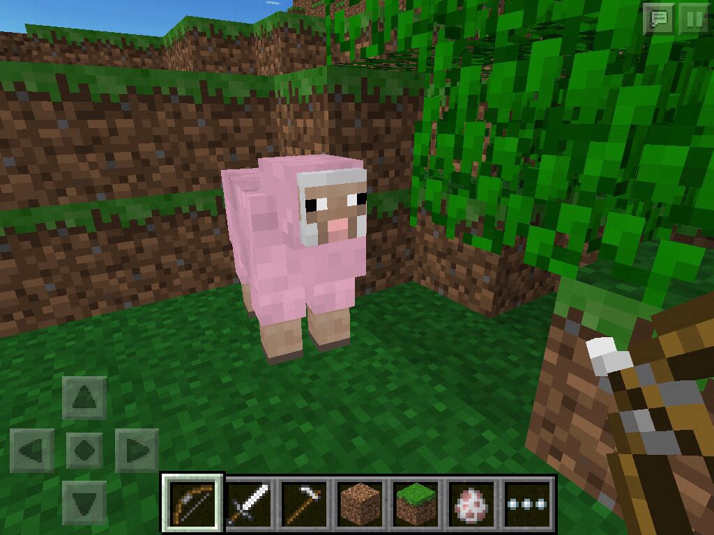 A rare pink sheep on minecraft. Who knew right!!!