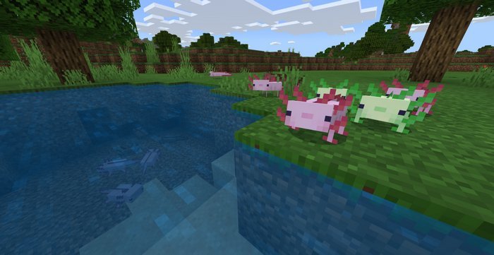 Axolotl addon for Minecraft PE 1.16.40
