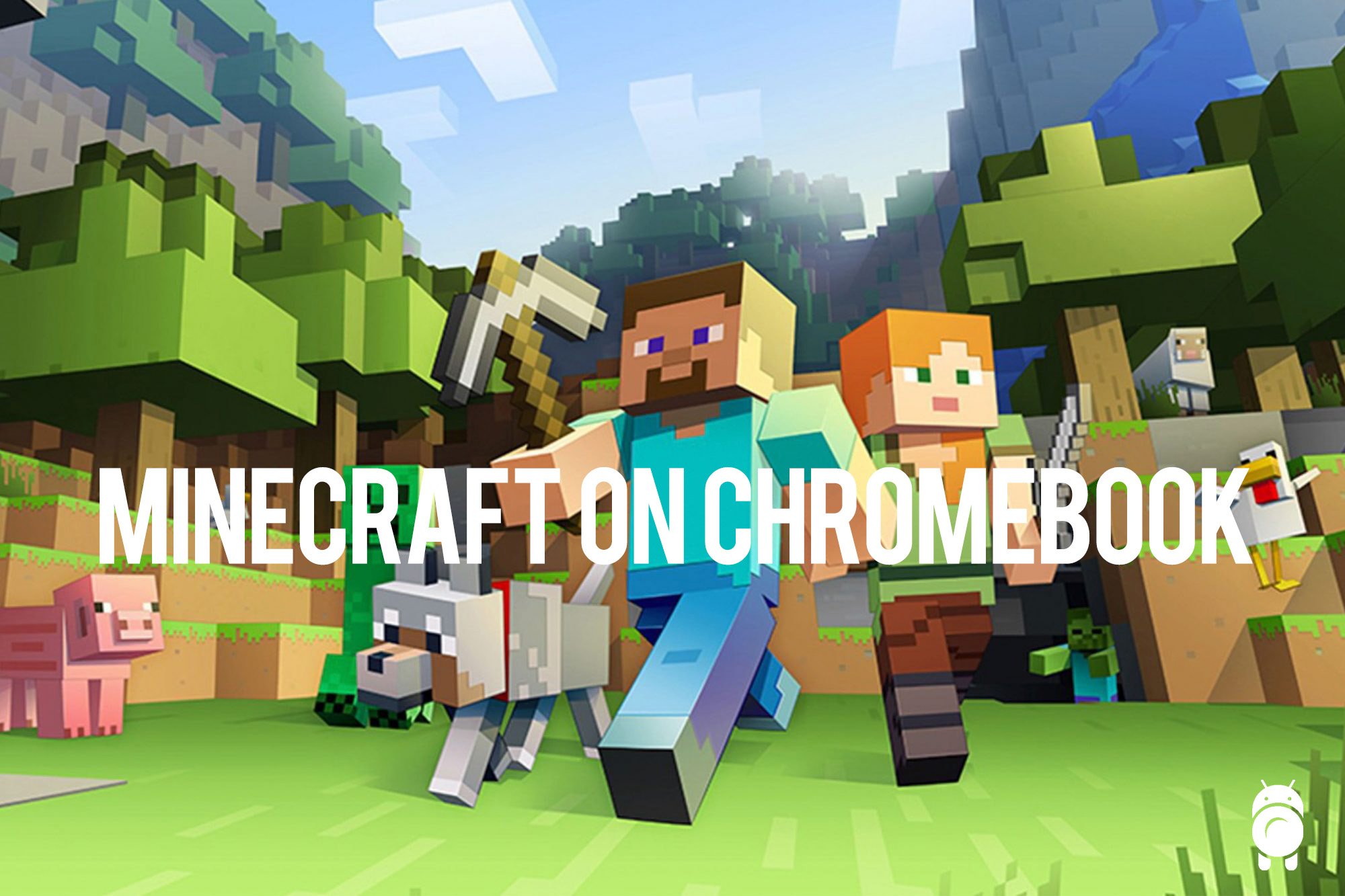 Can You Play Minecraft On Chromebook?