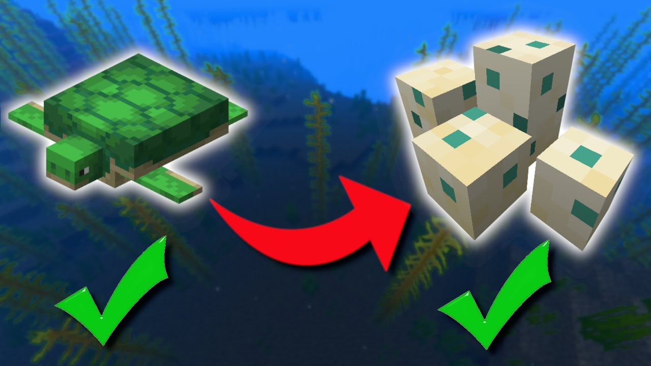 EASY Way To Get Turtle Eggs In Minecraft!