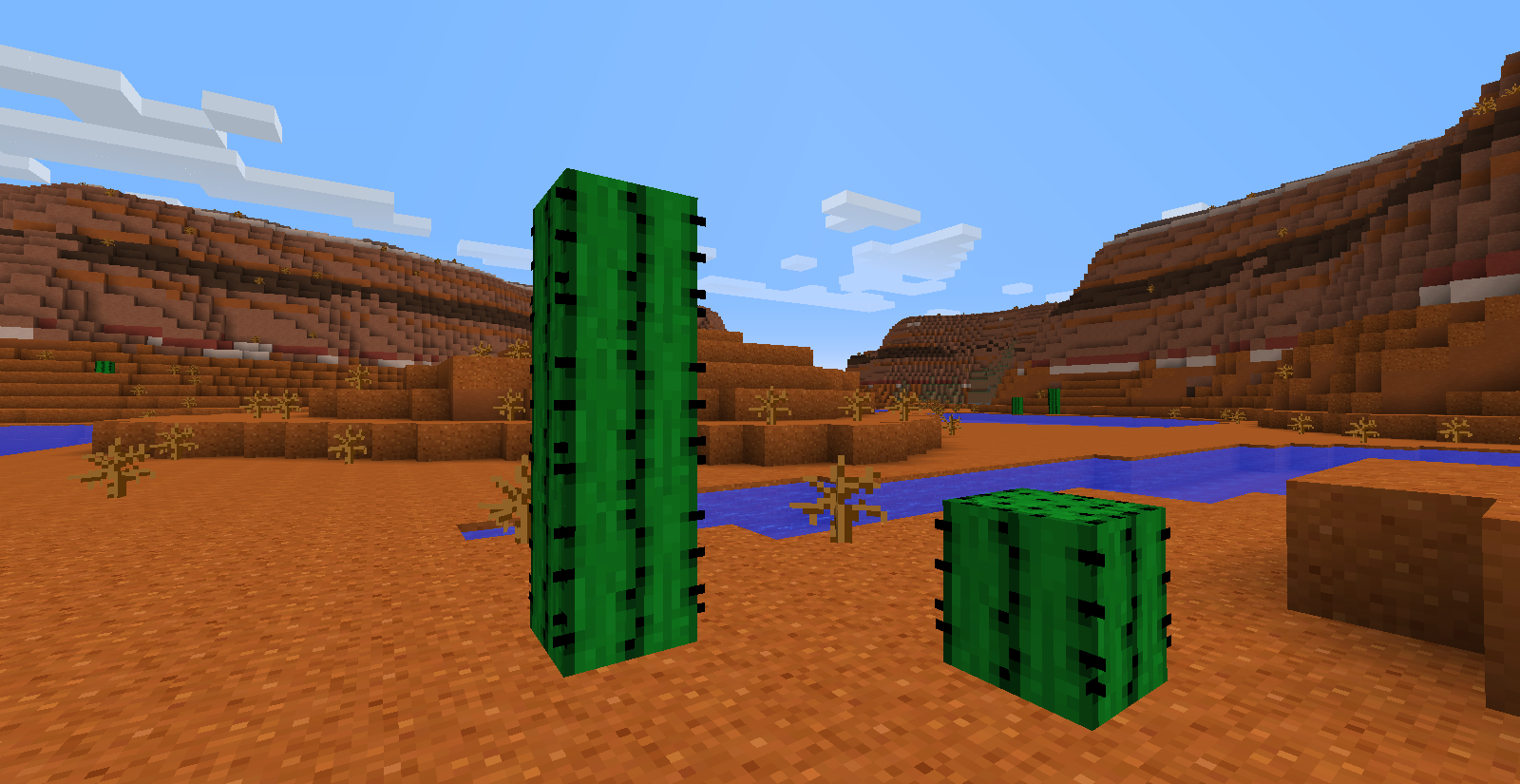 File:Common Cacti.png  Official Minecraft Wiki