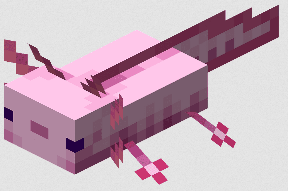 How many Colors of Axolotls are there in Minecraft? All ...