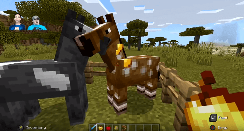 How To Breed A Mule In Minecraft Pe