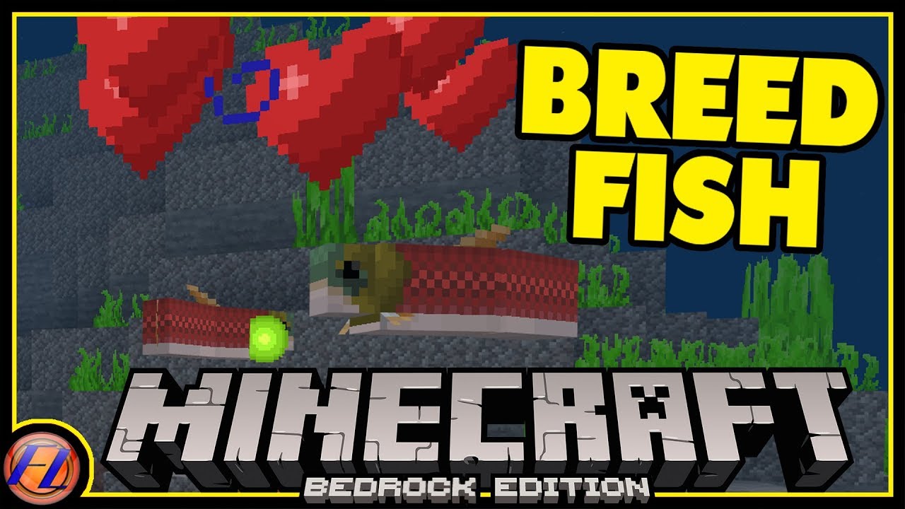 How to Breed Fish and Dolphins in Minecraft Bedrock? (Addon)
