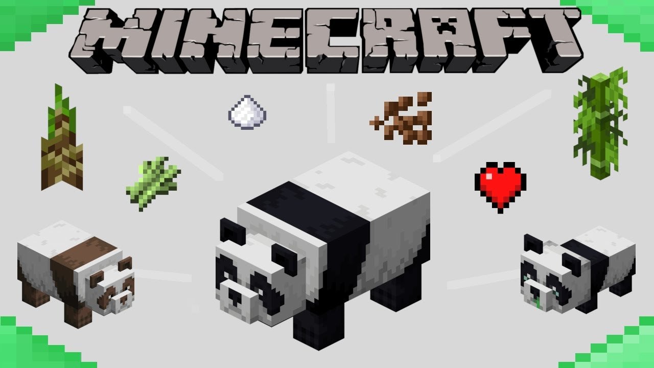 How to Breed Pandas in Minecraft (1.17) ð?¼