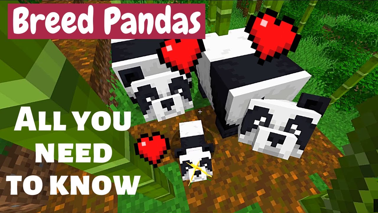 How to Breed Pandas in Minecraft and Get all Varieties ...