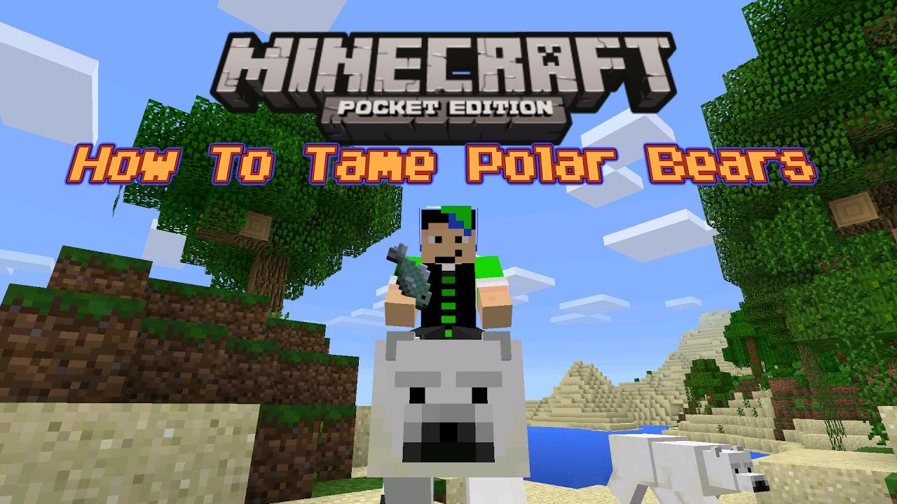 How To Breed Polar Bears In Minecraft Java