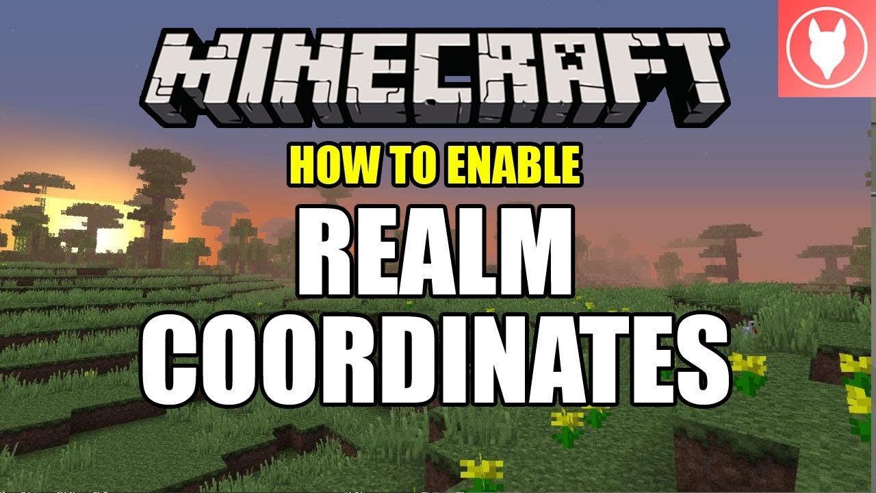 How to Enable Realm Coordinates