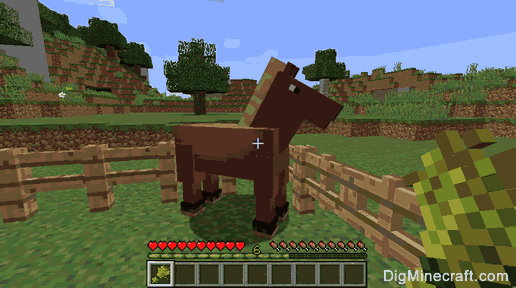 How to Feed a Horse in Minecraft