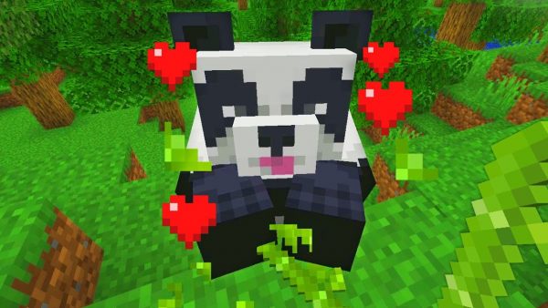 How to Find Pandas in Minecraft » TalkEsport