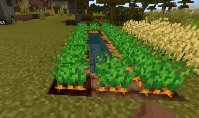 How To Get Carrots In Minecraft (Minecraft Carrot Farm)