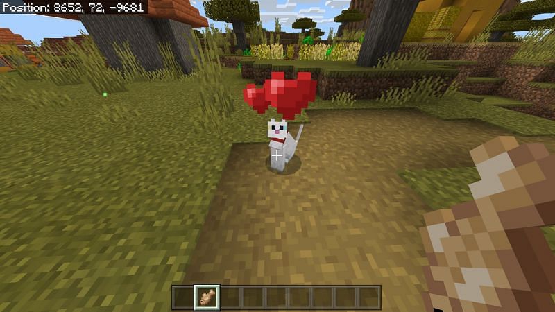 How to get Cats in Minecraft?