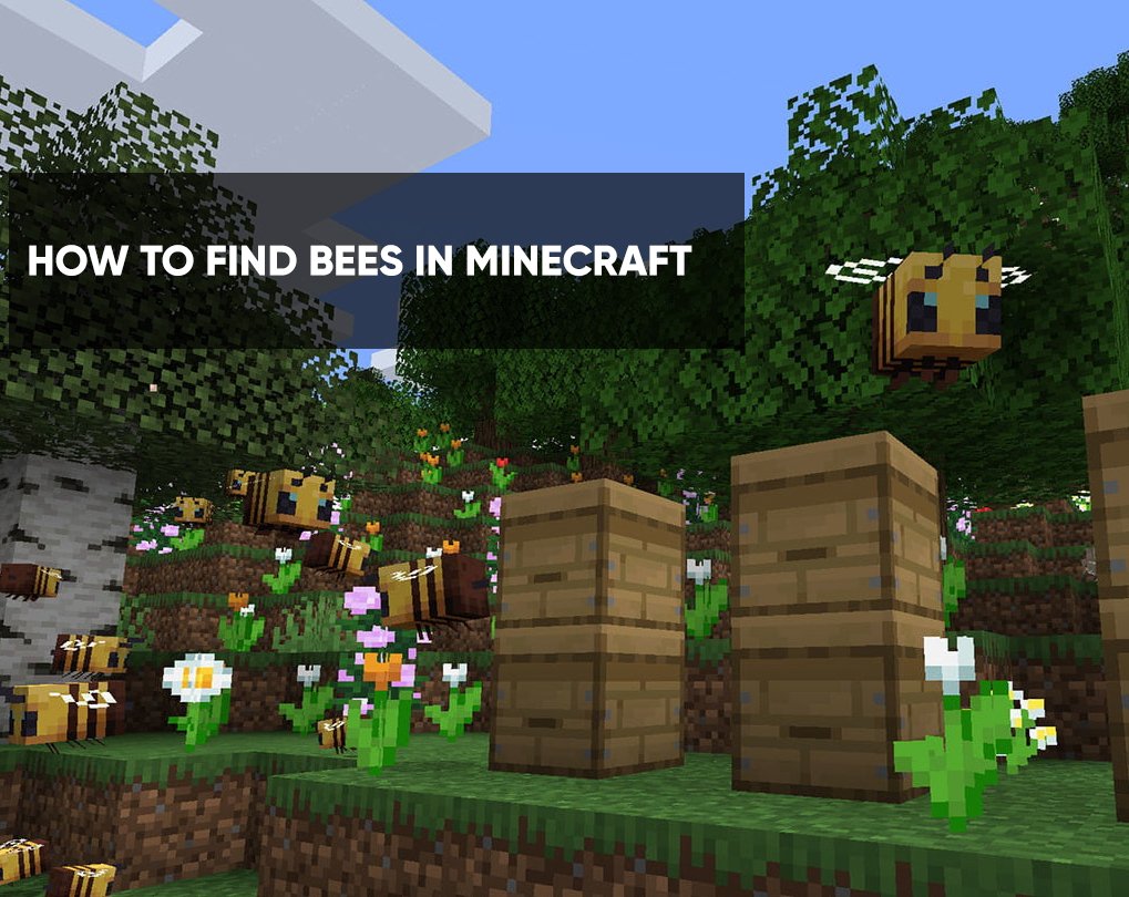 How to Get Honey in Minecraft  Guide to Bees