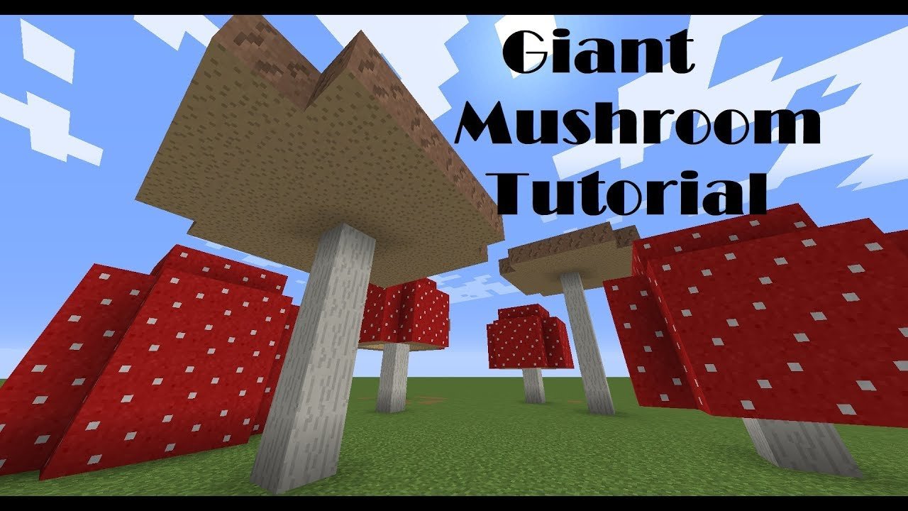How to GROW Giant Mushrooms