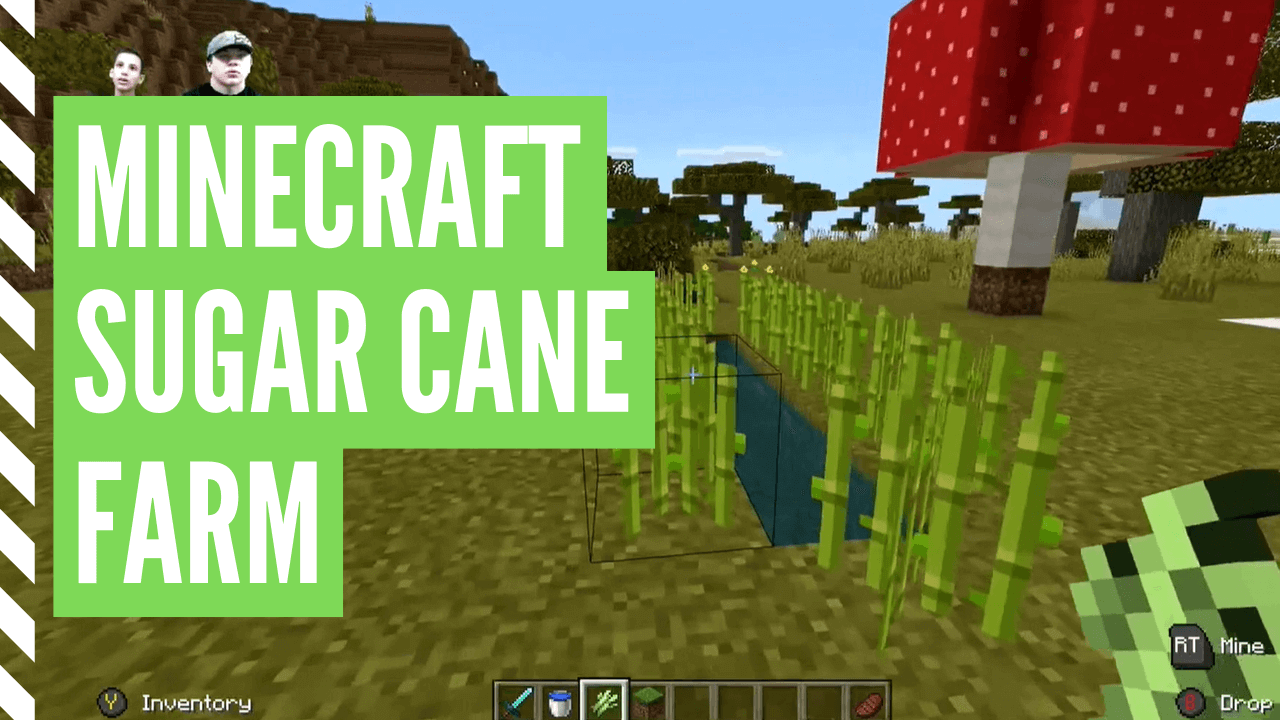 How To Grow Sugar Cane In Minecraft (Minecraft Sugar Cane ...