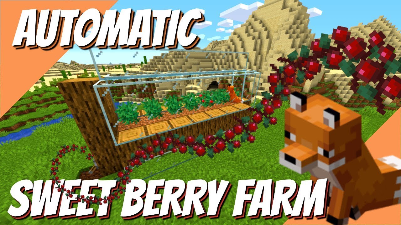 How To Grow Sweet Berries In Minecraft, Sweet Berries ...