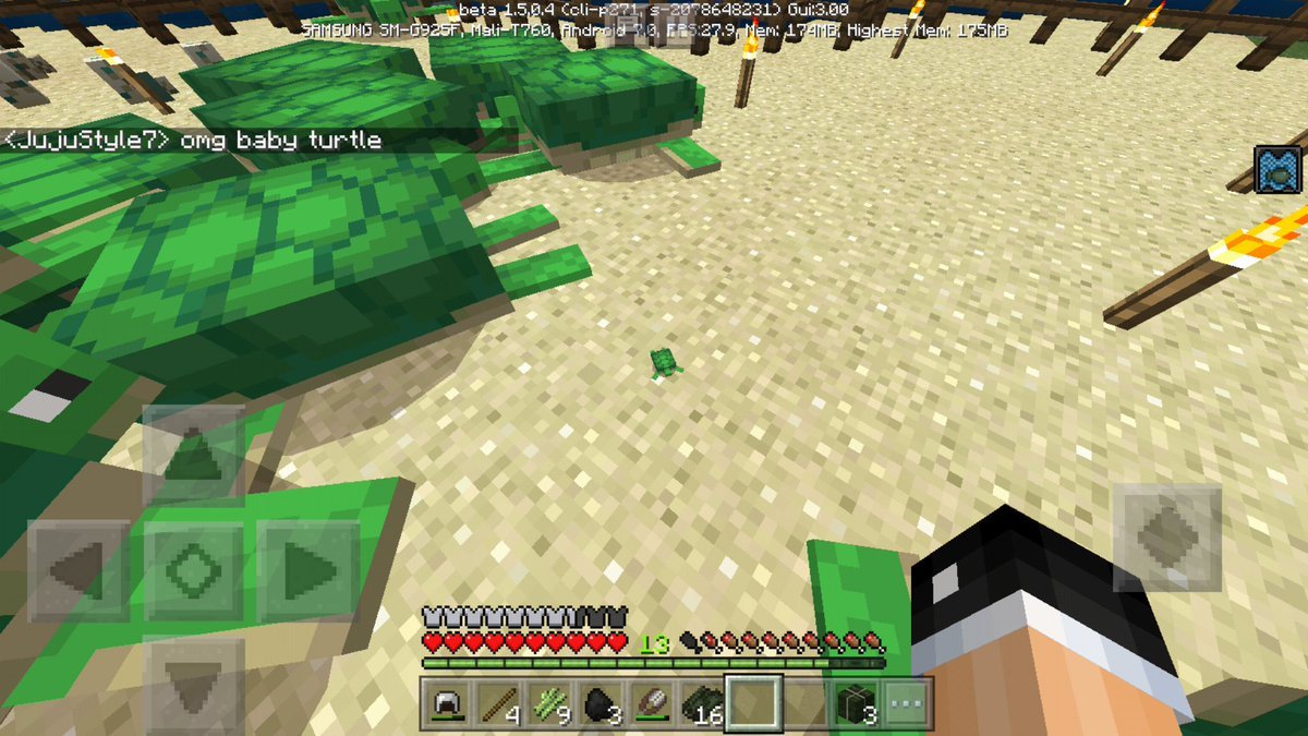 How To Hatch Sea Turtle Eggs Minecraft