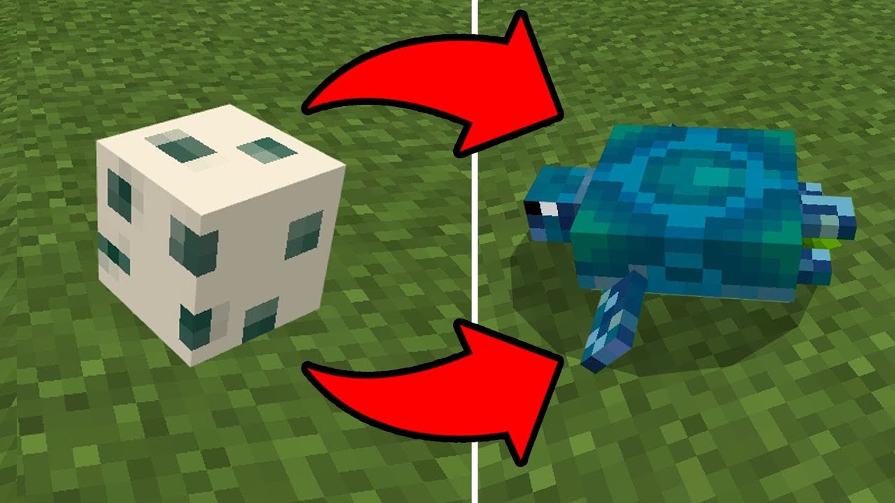 How to HATCH the Turtle Egg in Minecraft PE