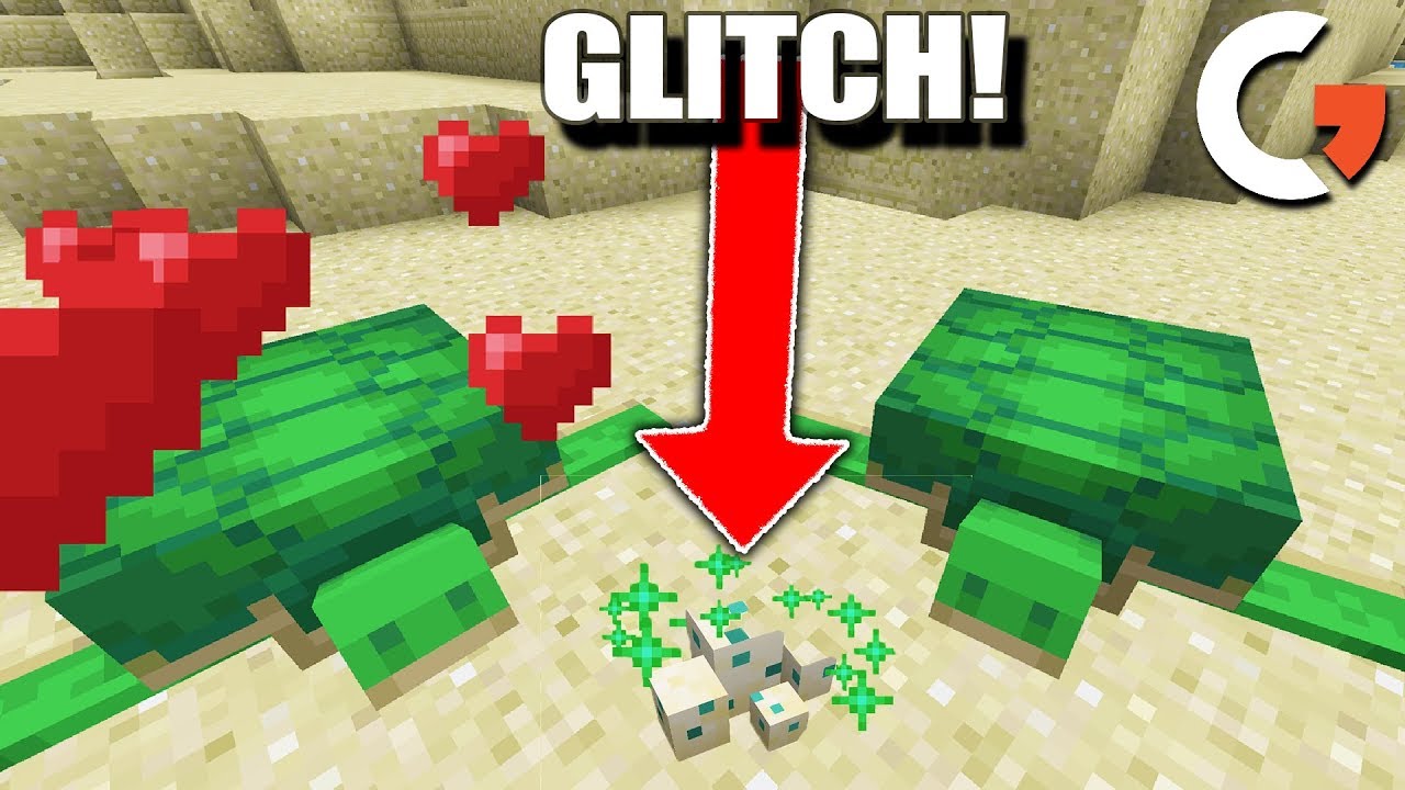 How To Hatch Turtle Eggs In Minecraft Weird Glitch