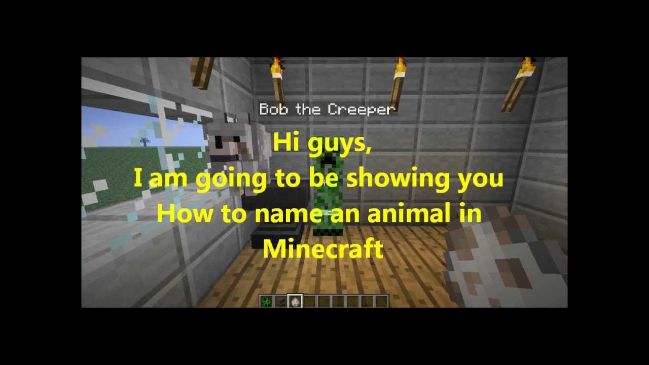 How to name an animal on Minecraft