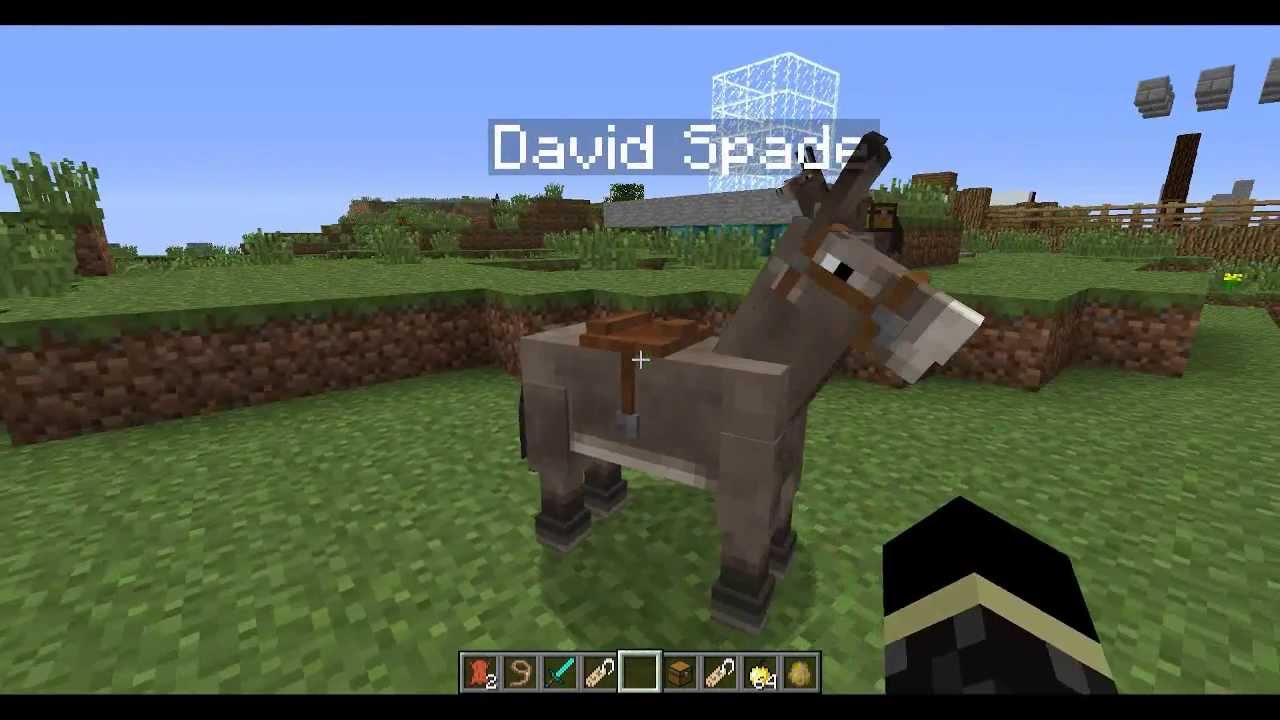 How to put a Chest on a Donkey in Minecraft