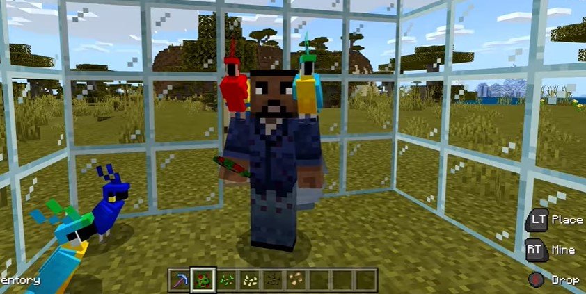 How to Put a Parrot on Your Shoulder in Minecraft ...