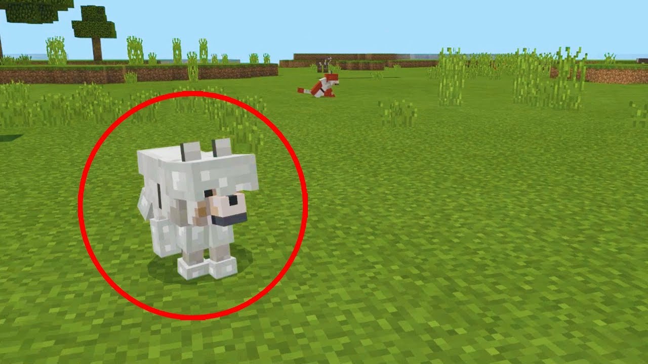 how to spawn a wolf with armor in minecraft