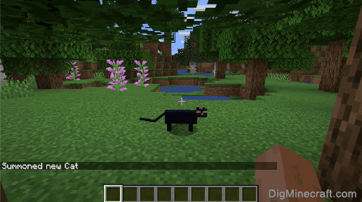 How to Summon a Black Cat in Minecraft