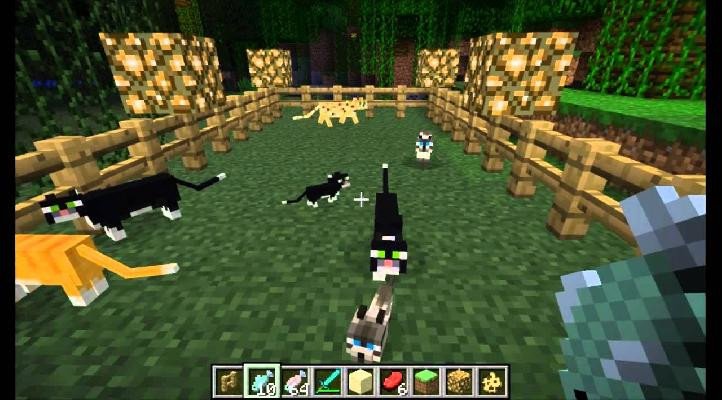 How to Tame a Cat in Minecraft: Follow These Easy Guide