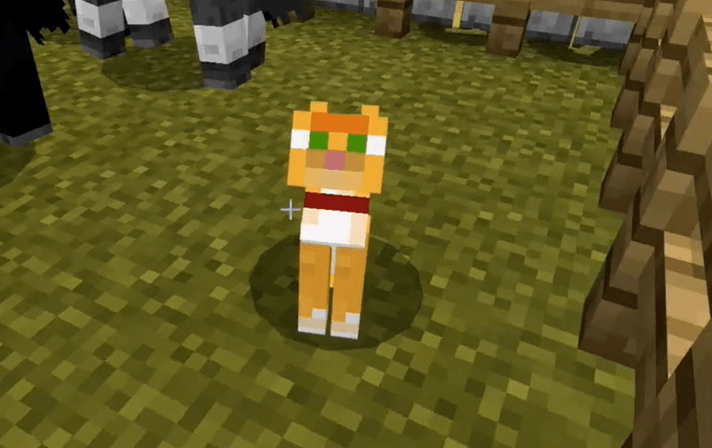 How To Tame A Cat In Minecraft  Minecraft How To
