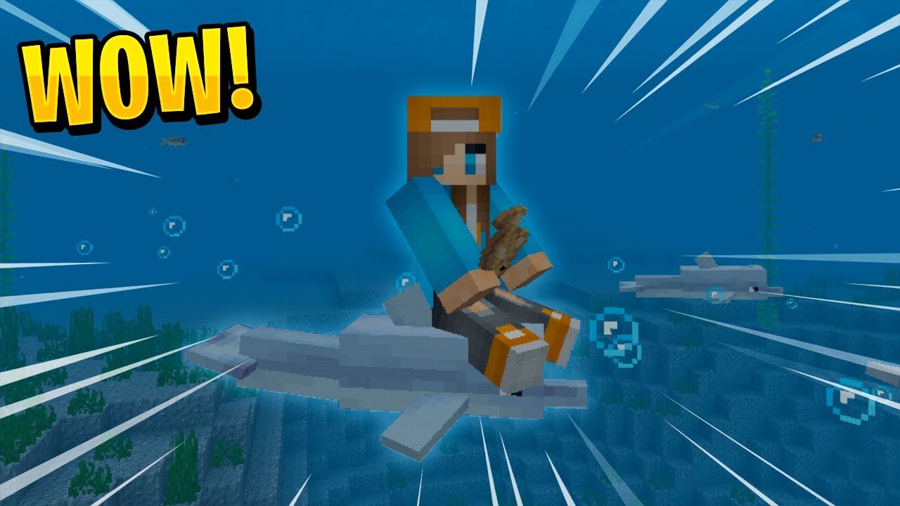 How to tame a dolphin in minecraft xbox one ...
