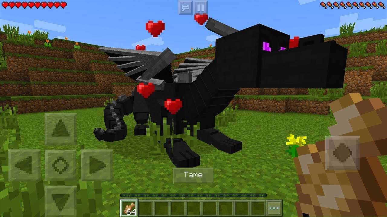 How To Tame a Ender Dragon in Minecraft Pocket Edition ...