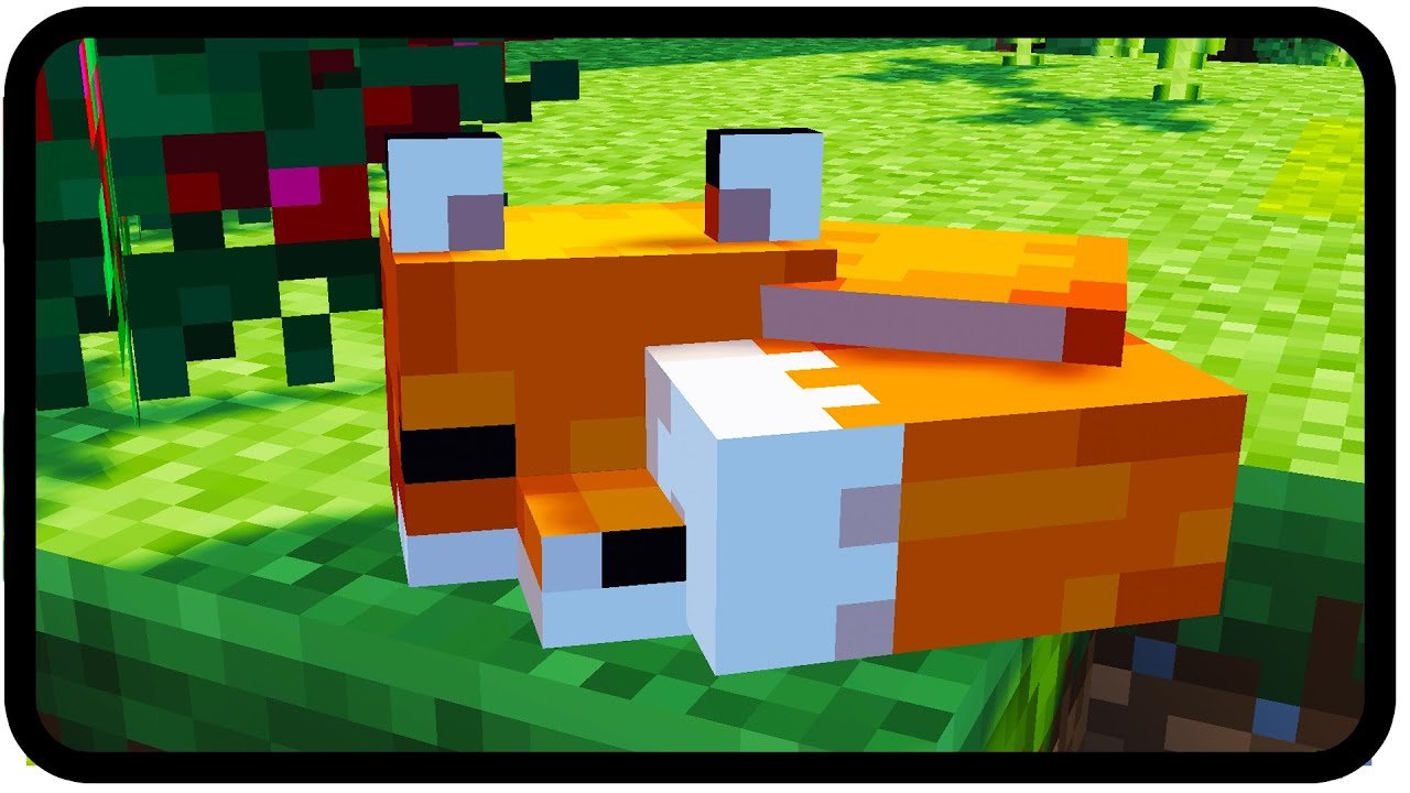 How to tame a Fox in Minecraft (Java/Bedrock Edition) 1.15 ...
