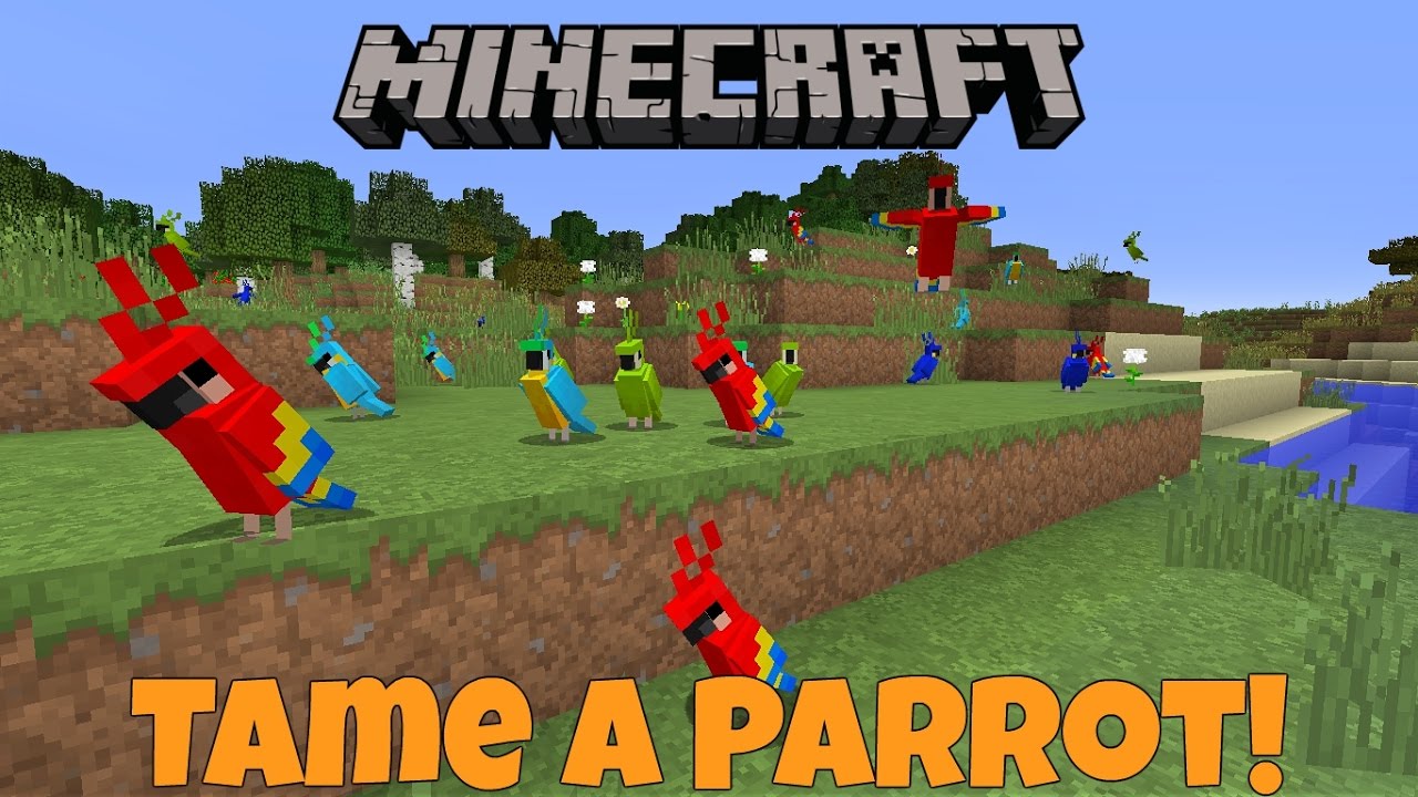 How To Tame a Parrot In Minecraft 1.12 &  MCPE!