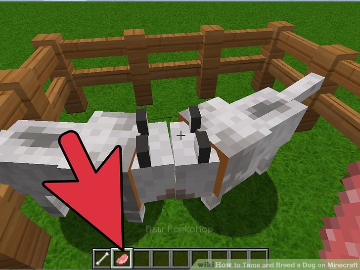 How to Tame and Breed a Dog on Minecraft: 4 Steps (with ...