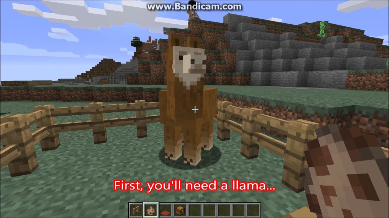 How to tame, decorate, and add a chest to a llama