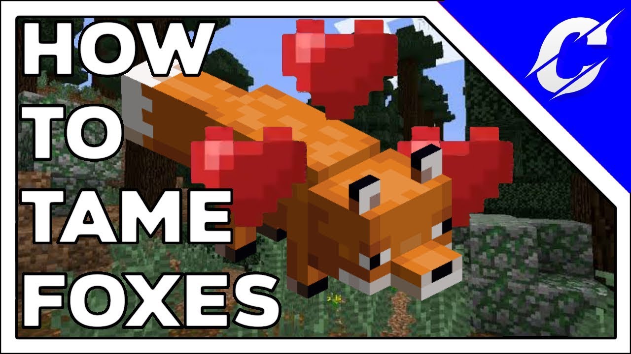How To Tame Foxes in Minecraft PE