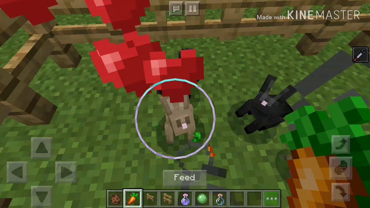 How to tame rabbits in Minecraft.