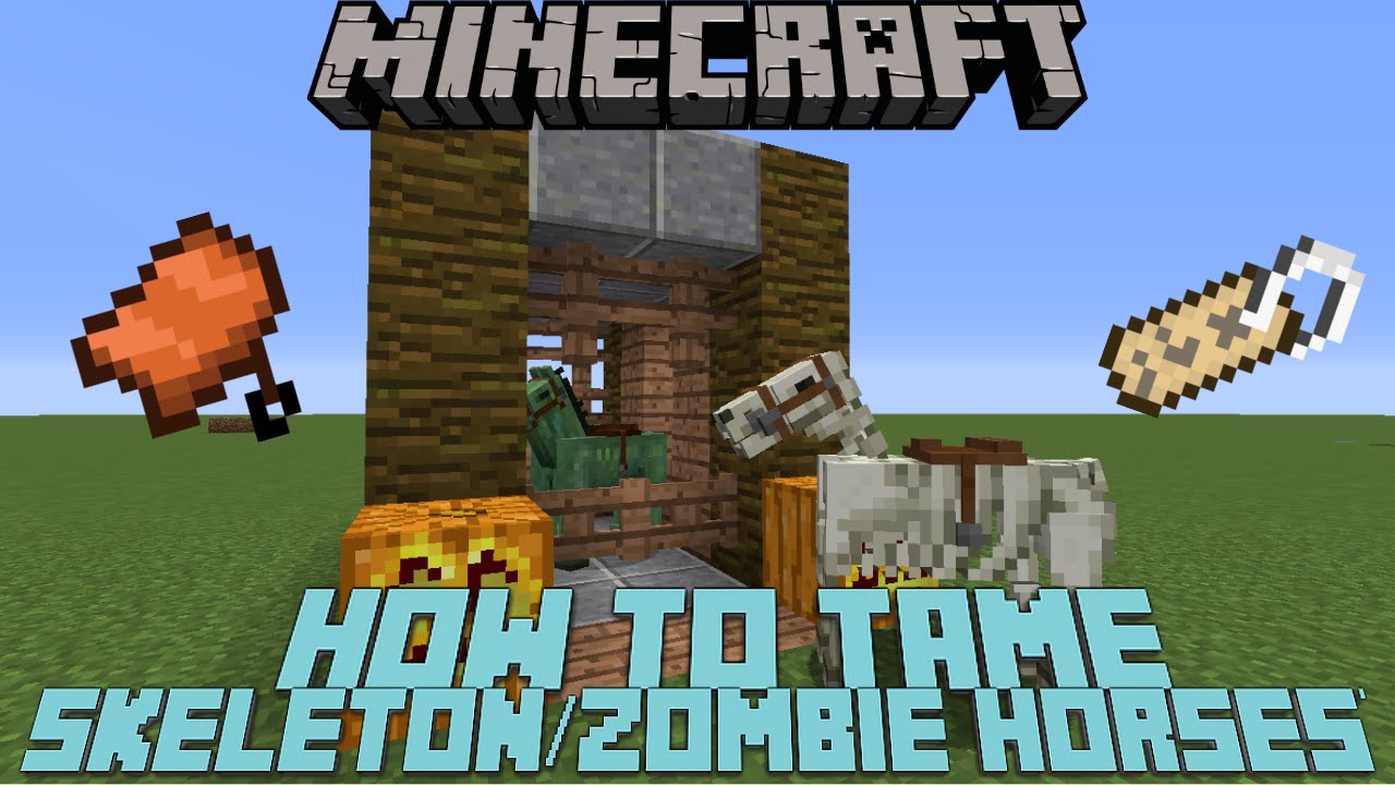How To Tame/Ride A Skeleton Horse &  Zombie Horse In Minecraft 1.10, 1 ...