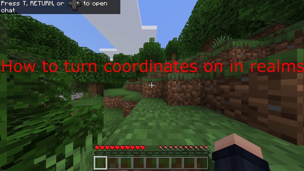How to turn on coordinates on a minecraft realm
