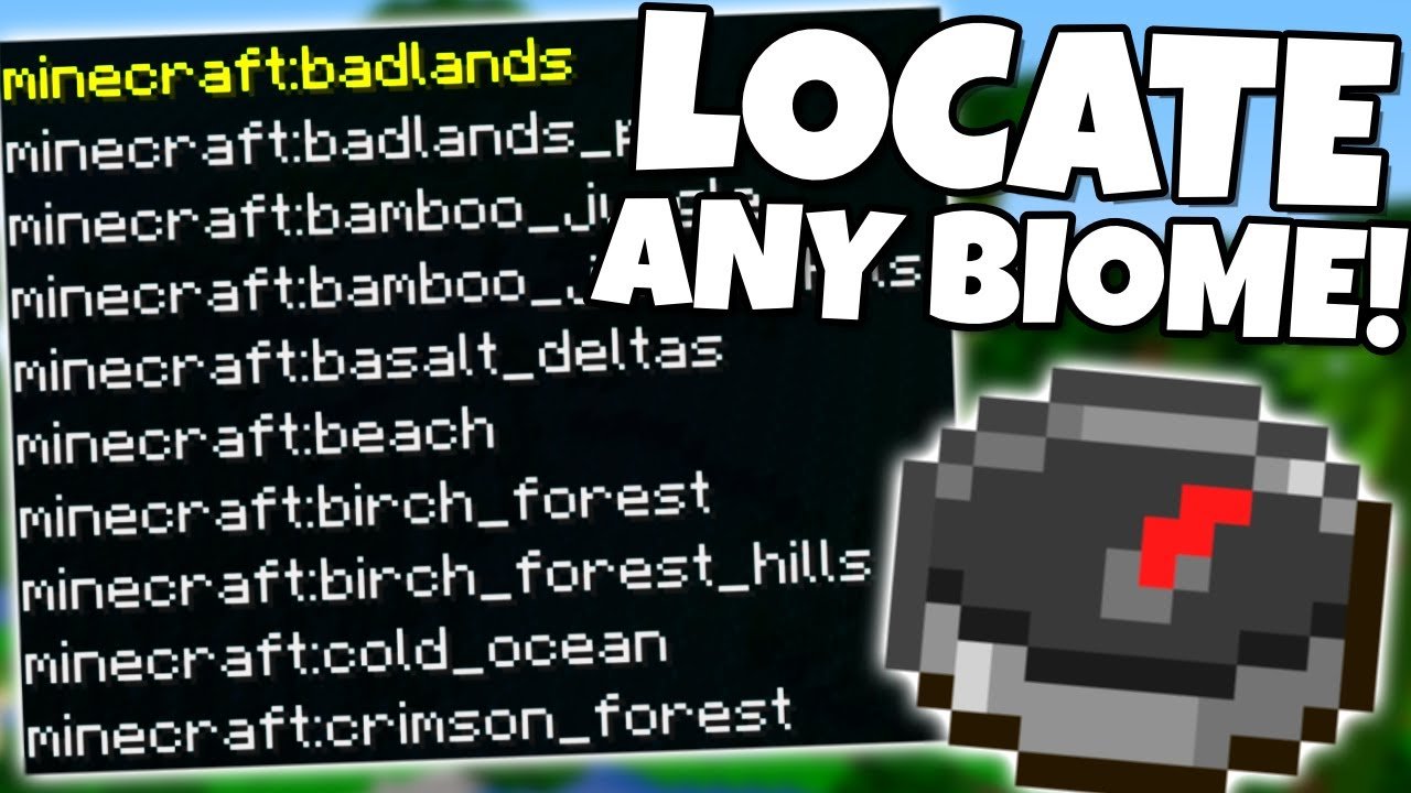 How to Use the LOCATE BIOME COMMAND!