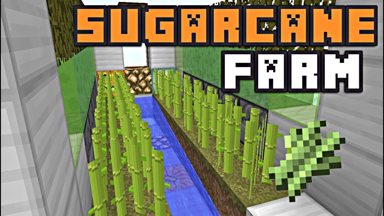 i made a sugar cane farm minecraft ep 6