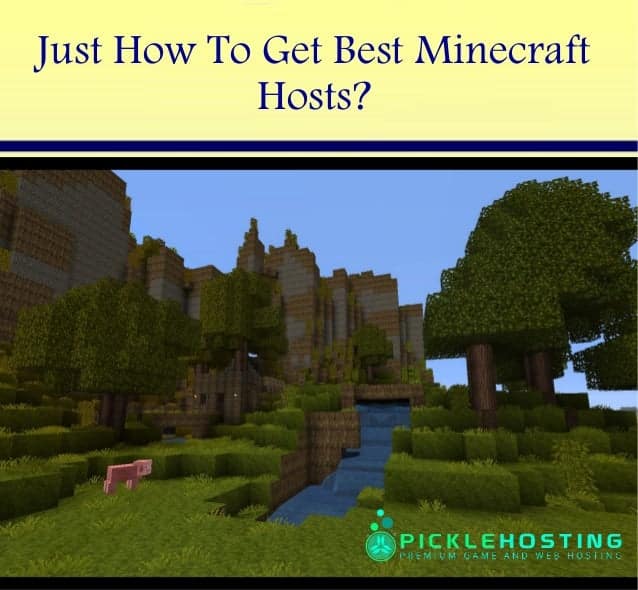 Just How To Get Best Minecraft Hosts?