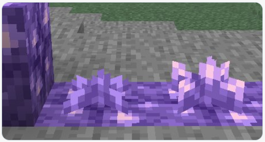 Look at Some Amethyst Crystals Growing. : Minecraft