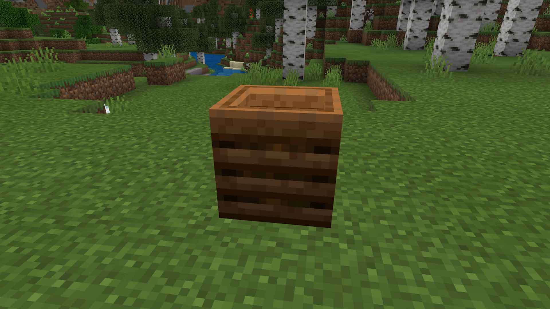 Minecraft Composter &  What it Does