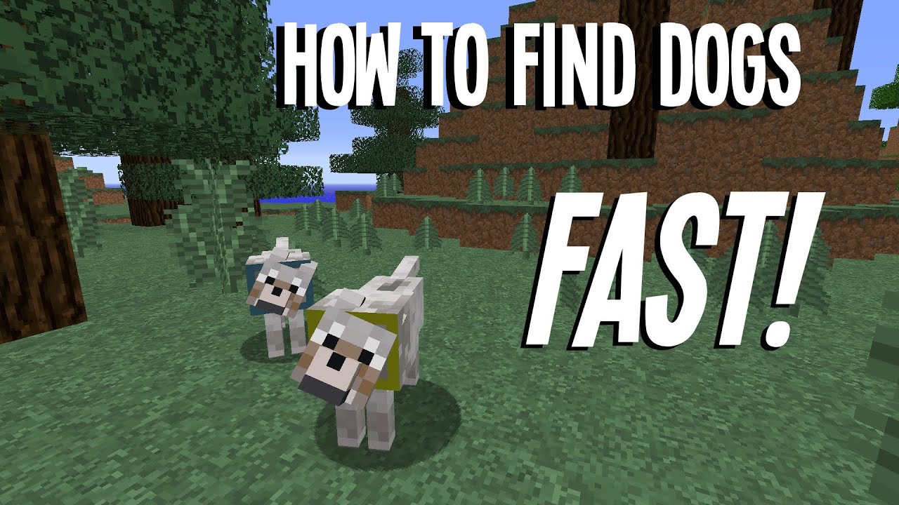 Minecraft: How to find Dogs (Wolves) Fast!! In 1.8!