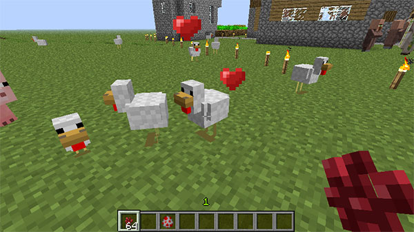 Minecraft: How To Get Chickens To Follow You (Attract ...