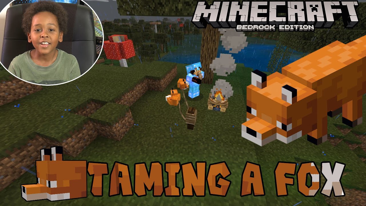 Taming a fox in minecraft bedrock