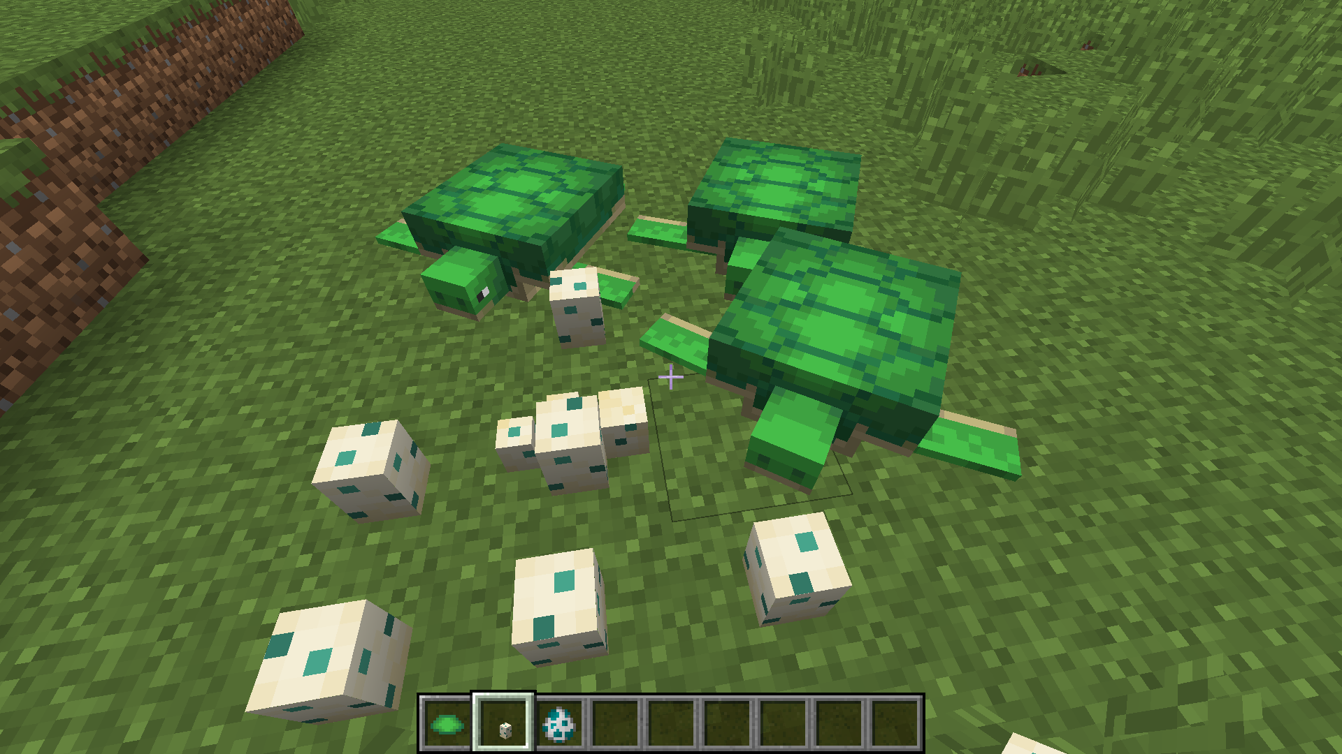 Turtles in the new version! : Minecraft