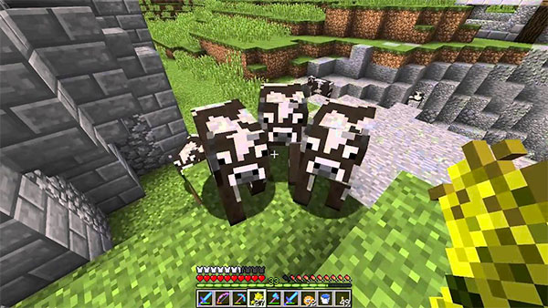 What Do Cows Eat In Minecraft